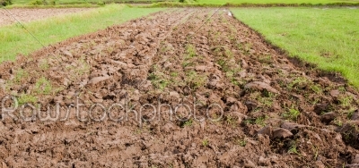 preparing agriculture field