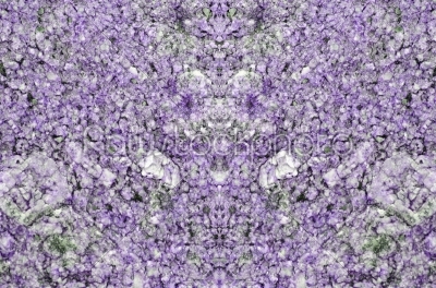 purple  stone