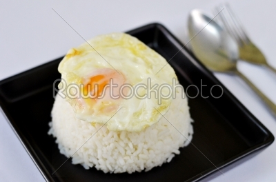 rice and fried egg 