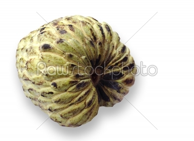 rip custard apple isolated on white with clipping paths
