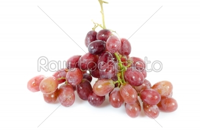 ripe grape fruits
