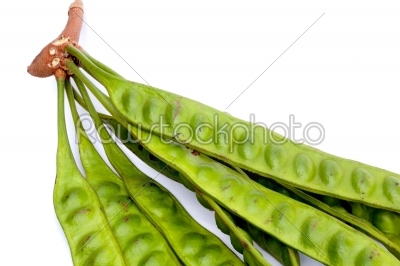 sato green vegetable