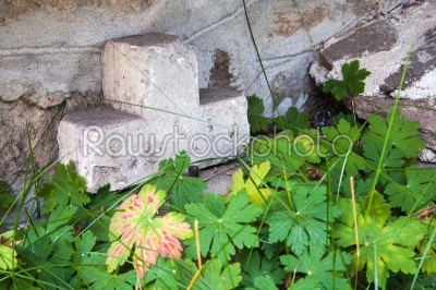 stone cross behind geranium