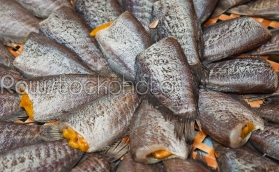 sun dried gourami fish