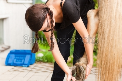 Teenage girl is grooming her horse outdoors
