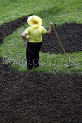 The woman works on a kitchen garden