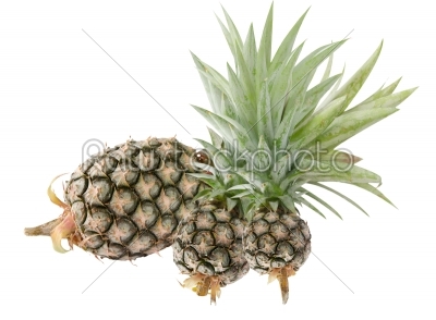 three of pineapple
