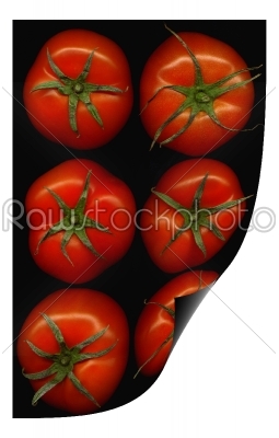 tomatoes curl distortion