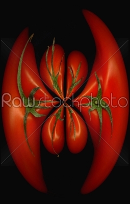 tomatoes distortion
