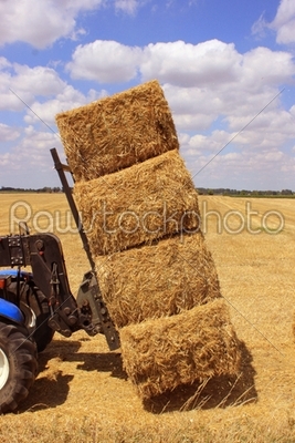 truck in a field of wheat