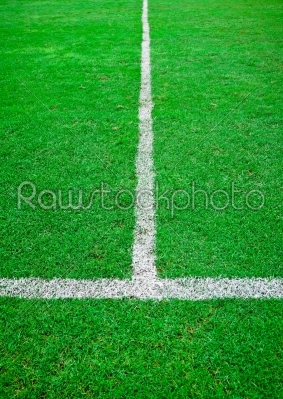 white line in green grass sport field