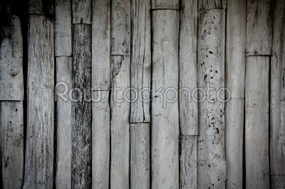 white wooden wall texture