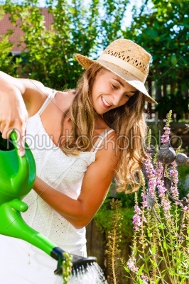 Woman gardener watering flowers in garden