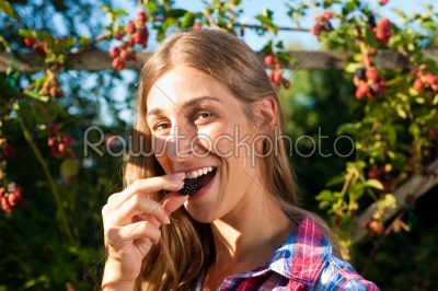 Woman harvesting berries in garden