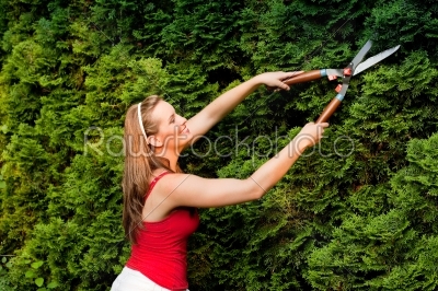 Woman in garden trimming hedge
