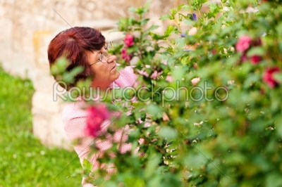 Woman is cutting flowers in her garden on a wonderful sunny day
