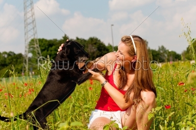Woman playing with her dog in a meadow