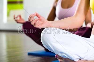 women in the gym doing yoga exercise for fitness
