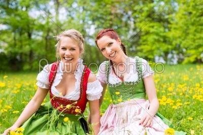 Women in traditional Bavarian clothes or dirndl on a meadow 