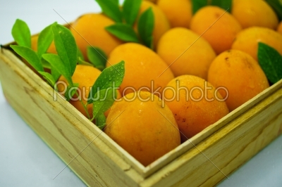 Yellow Thai fruit, Maprang.
