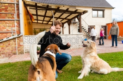 Young man playing with his dogs in garden