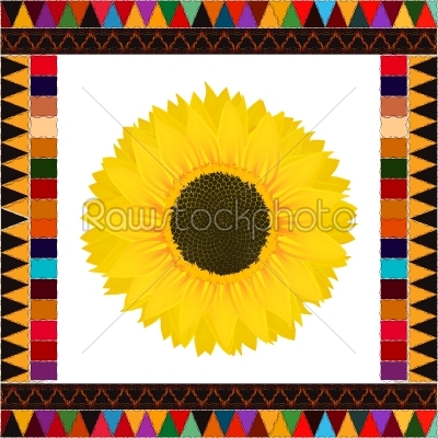 Autumn sunflower background
