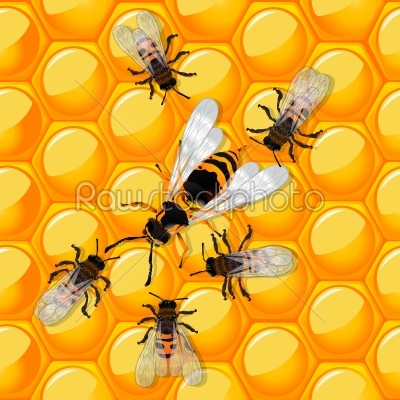 Bees and wasp