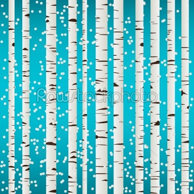 Birch forest and snow pattern