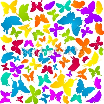 Butterflies in colors