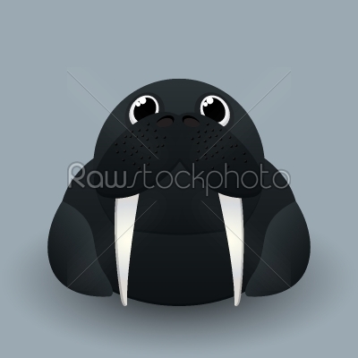 Cute baby walrus