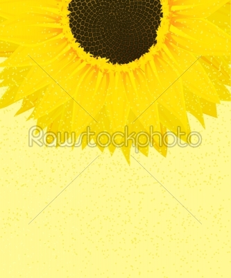 Decorative sunflower graphic