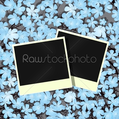 Flowers, picture frames