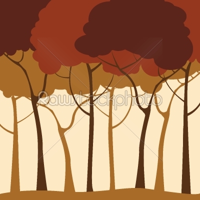 Forest background 
