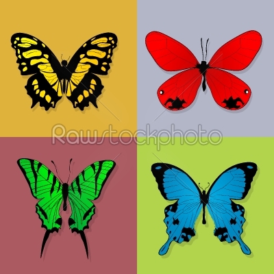 Four butterflies