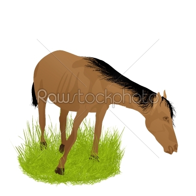 Horse in the grass