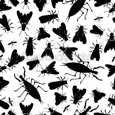 Insect seamless pattern