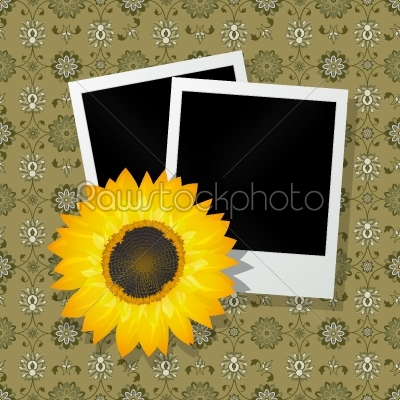 Photo frames with sunflower