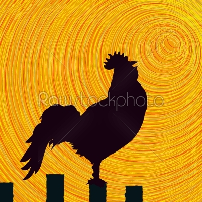 Rooster sketch background