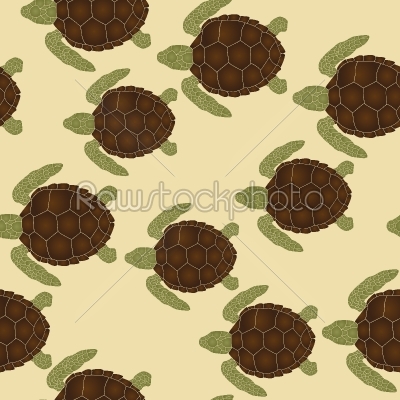 Sea turtles pattern