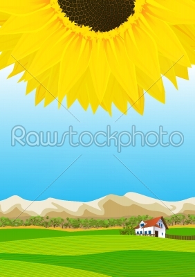 Summer rural landscape