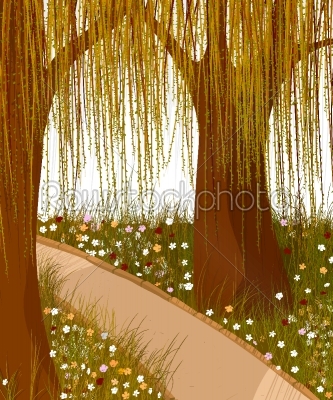 Willow forest background
