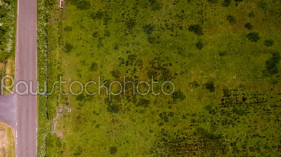 Aerial Grass Texture