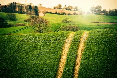 Agriculture field with large tracks