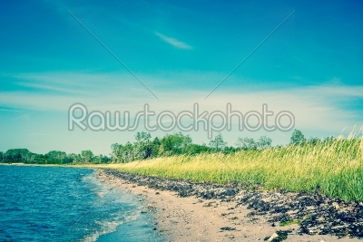 Beach with green fields and blue sky