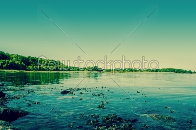 Beautiful lake landscape with seaweed