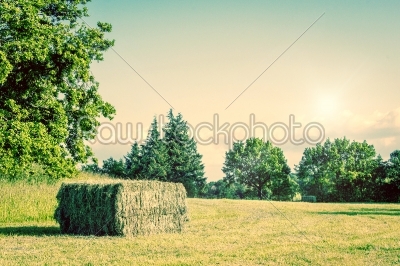 Big square straw bale on a field