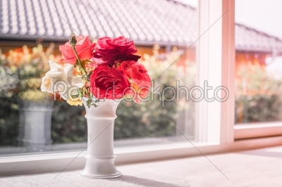 Bouquet of roses in a window