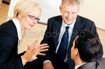 Business team discussing a project
