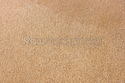 close up of sea beach sand or desert sand