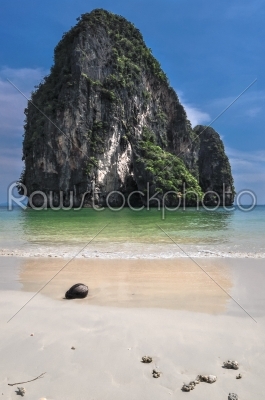 Coconut Island sea sand sun beach nature destination wallpaper